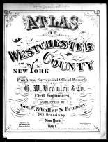 Westchester County 1881 